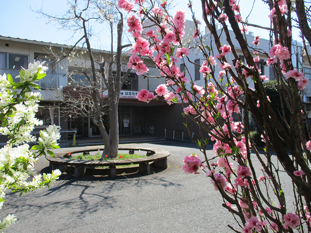 はなもも苑 受付スタッフ