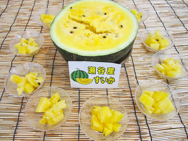 瀬谷産「スイカ」を満喫