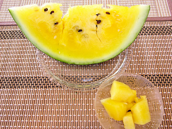 瀬谷産「スイカ」を満喫