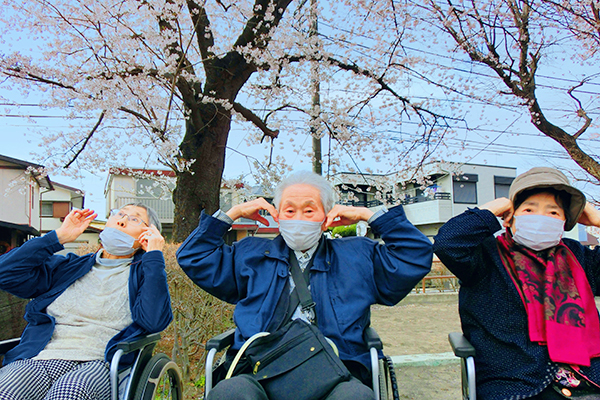 お花見ドライブ